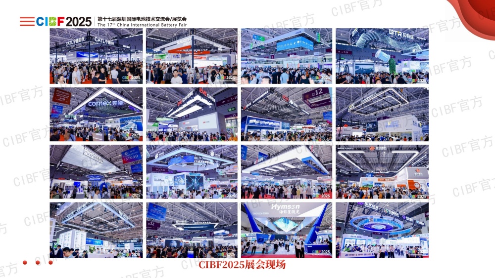 CIBF2025展后总结-对外(加水印）_10.jpg